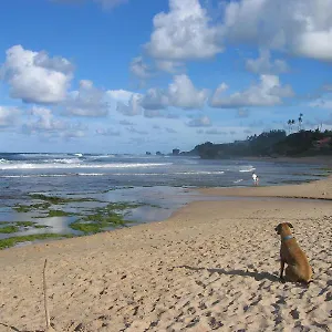 Gasthof Round House, Bathsheba