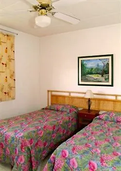 Adulo Apartments Bridgetown
